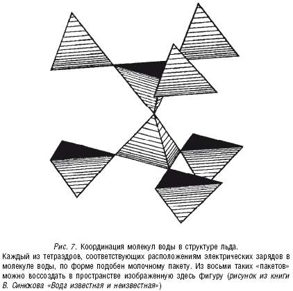 Что можно сказать о молекулах воды и льда