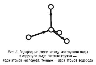 Что можно сказать о молекулах воды и льда