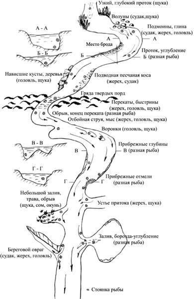 Узкий проток в плотине косе отмели. Отбойная струя на реке что это. Стоянка щуки на реке. Струя на реке. Река щука схема.