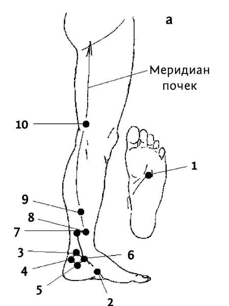 Меридианы на ногах человека схема