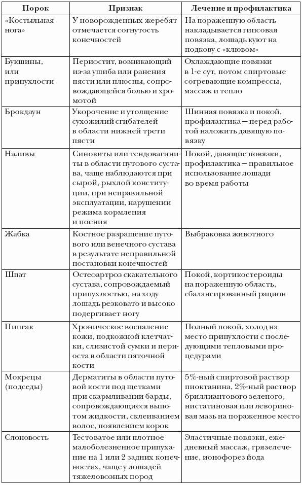 Пороки и недостатки экстерьера