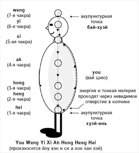 San Jiao (���������� ���� ������� � ��������� ���������) � Wai Jiao (����� ������� ������������ ������ ����). Jing Qi Shen (�������, �������, ���). ���������� ������, ��������, ������� � ����������� �������� ���������. ������� ����� ���������, �������� ��������. ��������� �� ������ ����������� ������ � ����������� ��������.