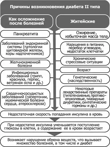 1.4. � �������� ����������� ��������. ����� 1. ������. �������� � ������� �������������. ������. ������ ���� �������. ��������� ��������.