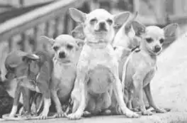 300. ��������. ��������� ������. ����� ��������. ������������ ������. ������������ ������.
