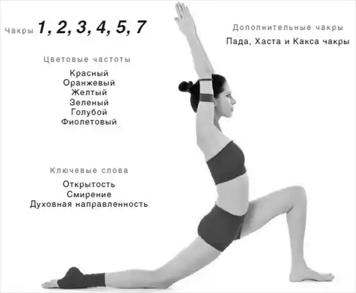 �������������. ���������� ����. ������������ ����.