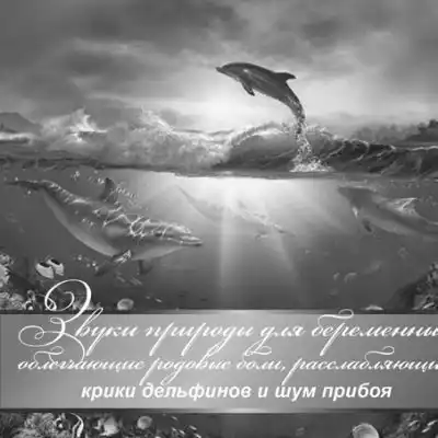 ��������� ������� ��� ���������� ����������� ���������� � �������� ������������. ����������� ���� � �������� ����.