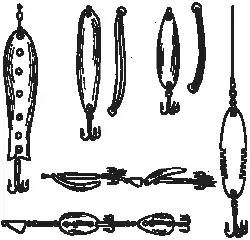 ���� ������������ (Esox lucius). ����� ���������� ����� ���.