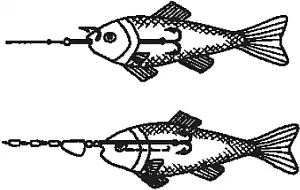 ���� ������������ (Esox lucius). ����� ���������� ����� ���.