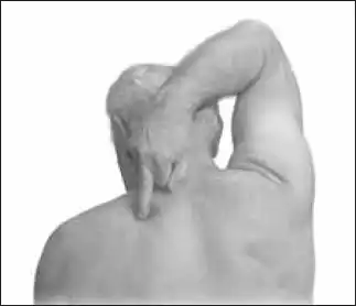 ���. 21. ����� II. ������� ������������. �������� ����������.