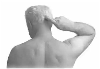 ���. 30. ����� II. ������� ������������. �������� ����������.