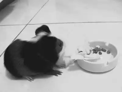 ������ ����� ����� ����������� ����, �� �� ����� ����������� �� �� ����������. �������� � �������������. ����� 1. ������� ���������� ������������ ��������. ����� ������������ �������. ������� ������������ �������� � ��������.