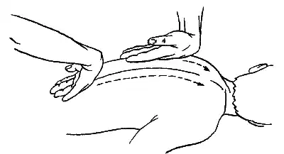 ����� 3 �������� ��������� ������ � �� ����������. ����� 2. �������� �������� �������, ��� ���� � ������. ������ ��������. ������ ��� ��������.