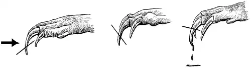 ��������� ������. 8. ����. �������� ������������� ��������. ������� ������.