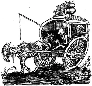 ����� �������� �����. ����� ������. ������ ��������. ����������� �����.