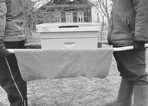 ���������� ���������. ������� ������. �. �. ���������. ������������ ��� ����������.