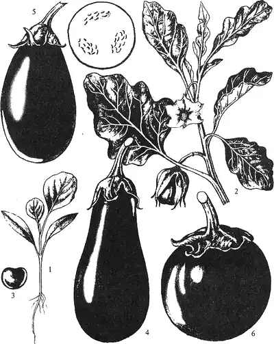 ������������ �������� � ��������������� �������� ������. ��������. �����, ���������� �����, ���������...
