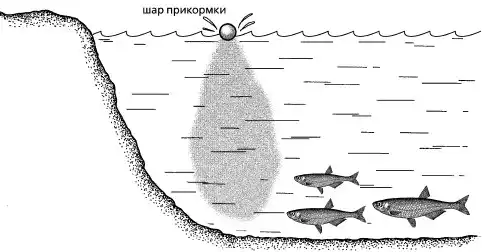 Часть вторая. ПРИКОРМКИ. О РЫБЬИХ ВКУСАХ. · · · Рыбалка по открытой воде.