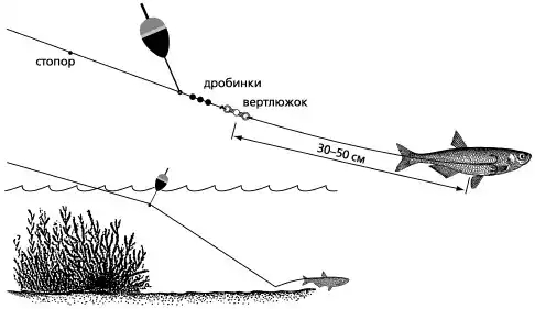 ЩУКА. · · · Рыбалка по открытой воде.