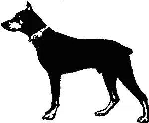 ��������-������. II. ������ �����. �. ������. ������-��������� �������.