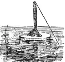 ����. Esox lucius L. ����� ������. ����� � ����� ������������ ���.