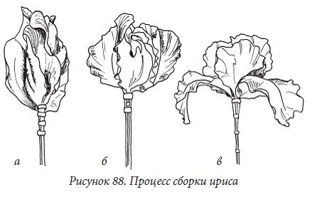 Ирисы из фоамирана своими руками схемы шаблоны