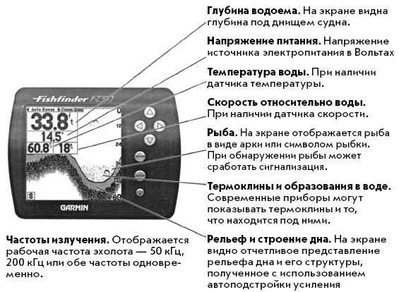 Эхолот как читать изображение