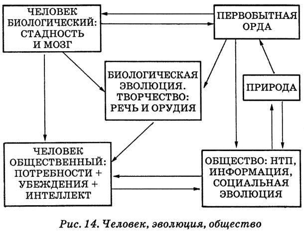 Схема эволюции орудий труда речи и общественных отношений человека