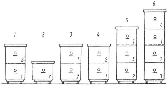Схема размещения ульев