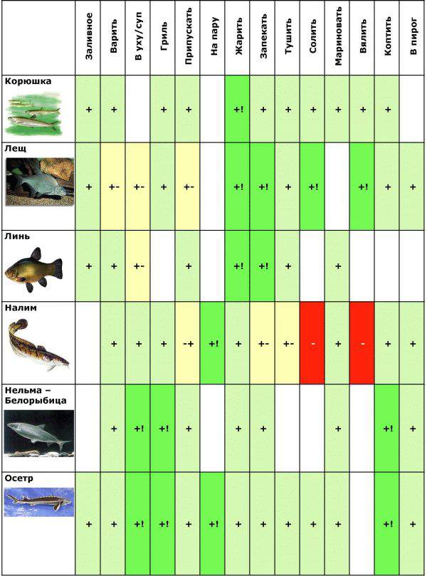 На каждую рыбу. Какую рыбу как готовить таблица.