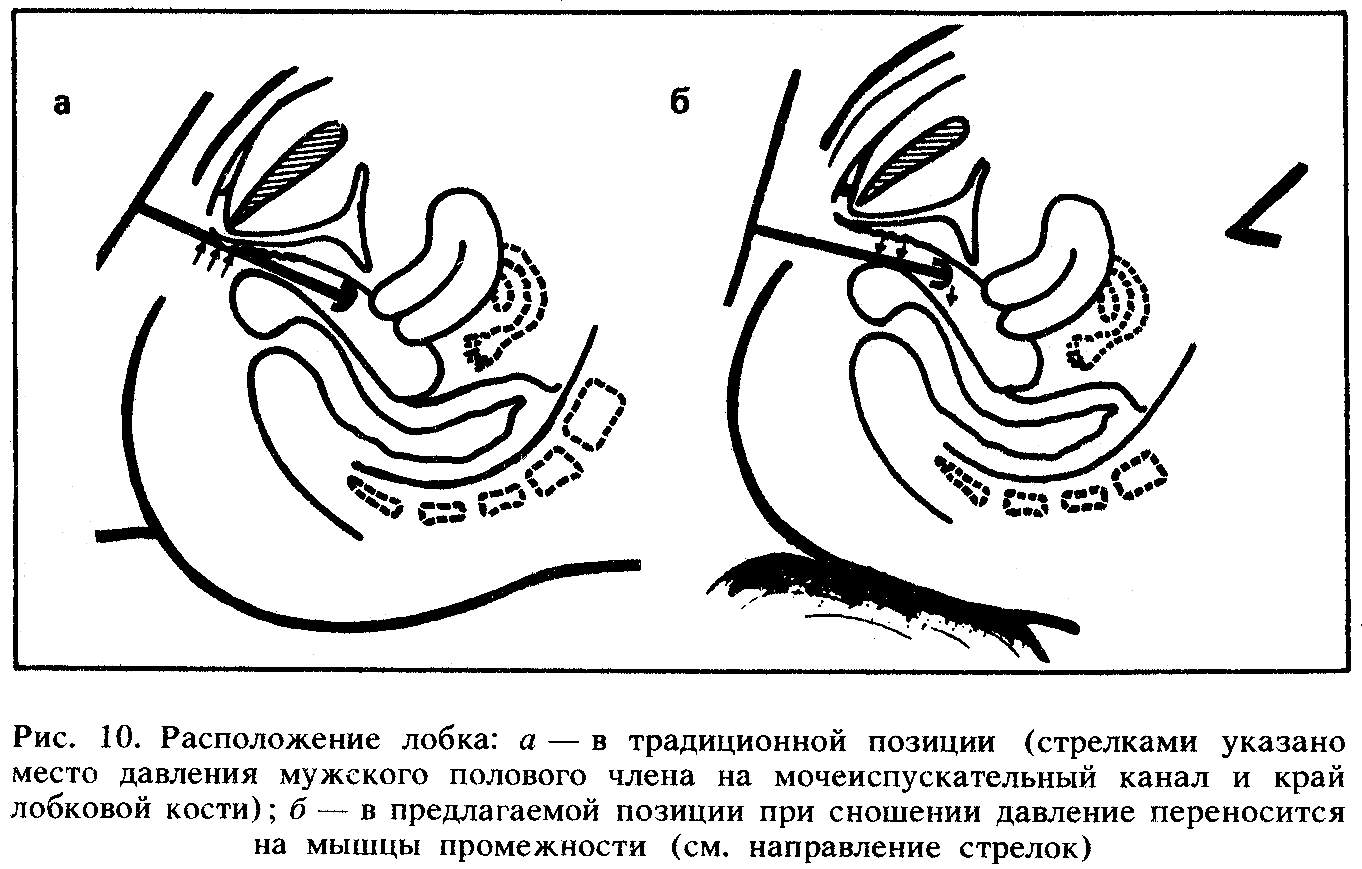 схема расположения члена во влагалище фото 83