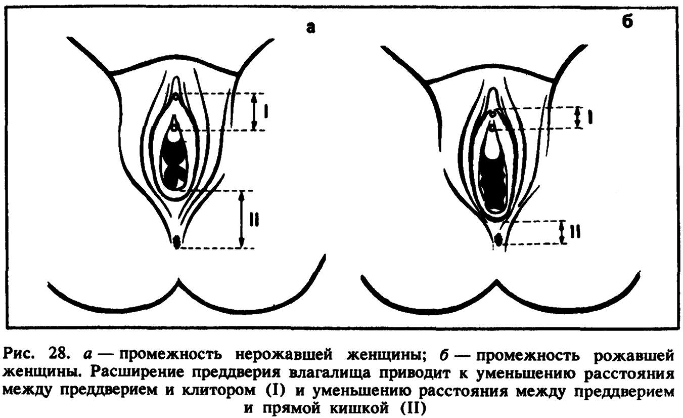 оргазм мужчин и женщин отличия фото 111