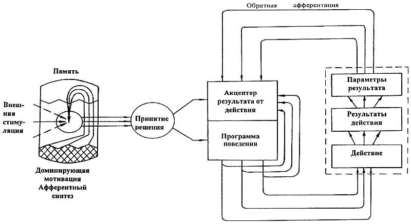 Схема фус поведенческого акта