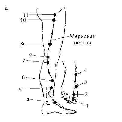 Меридиан печени и желчного пузыря на картинке