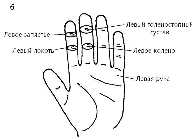 Пальцы правой руки. Су Джок средний палец на левой руке. Су Джок безымянный палец. Су Джок указательный палец левой руки. Су Джок указательный палец правой руки.