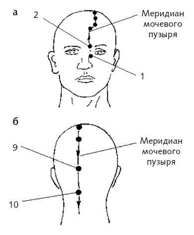 Меридиан мочевого пузыря точки расположения картинки