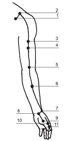 Эффективные точки. Юй Цзи. Точка Юй Цзи. Чжун фу точка. Точка Юй Цзи расположение.
