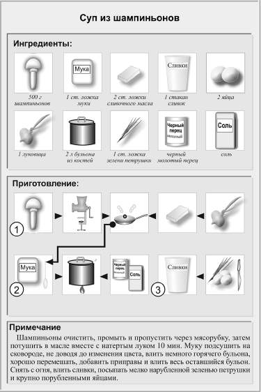 Технологическая схема приготовления заправочных супов