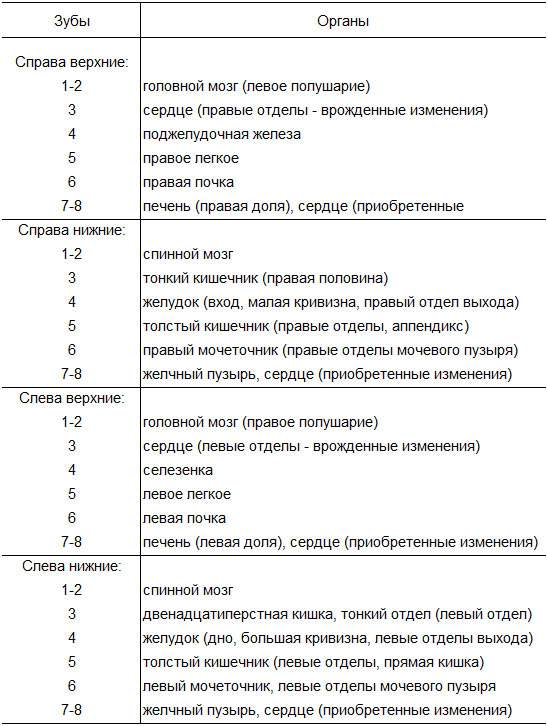 Зубы связанные с органами схема