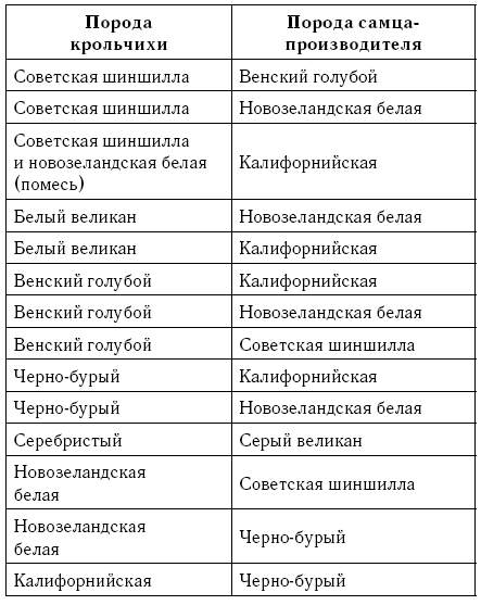 Можно скрестить. Таблица смешивания пород кролика. Скрещивание пород кролика породы.