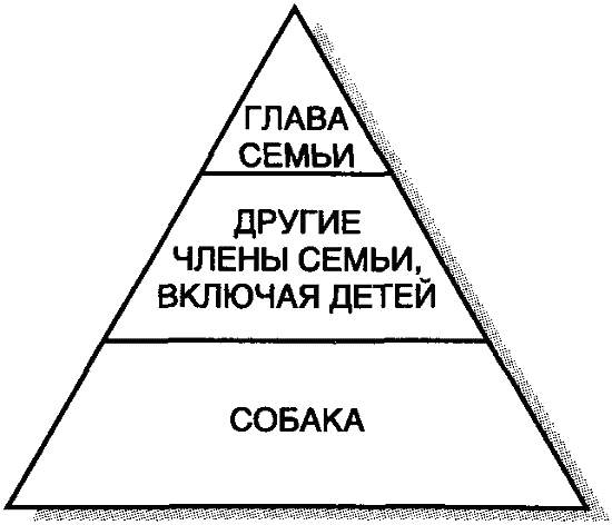 Структура семьи картинки