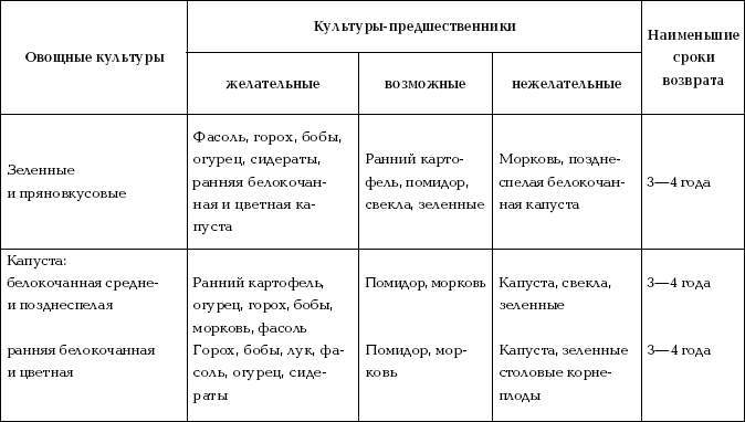 Принципы чередования овощных культур