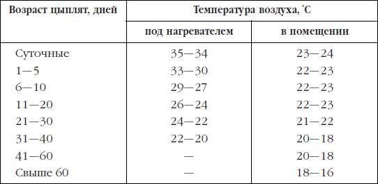 Температура для цыплят несушек по дням