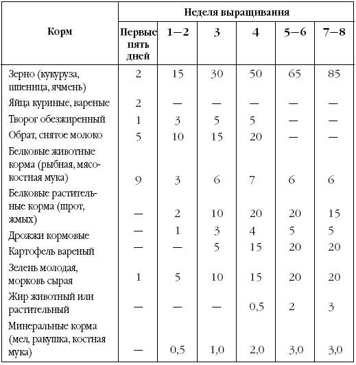 Схема выращивания индюшат