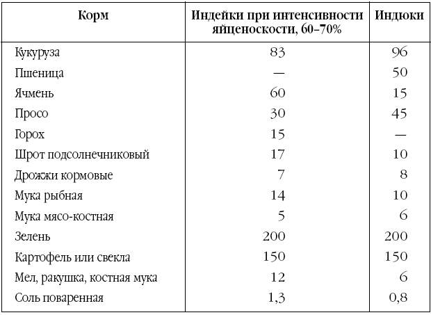 Корма для индеек. Таблица корма комбикорм для индюшат. Рацион индеек. Рацион кормов для индюшат. Рацион питания индюков.