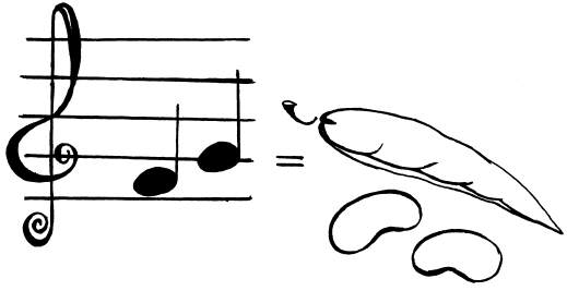 Ноты фа и соль. Фа соль Ноты. Ребус фасоль. Фасоль нотный стан. Нотный стан картинка для детей.