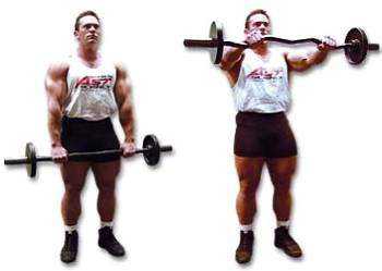 Barbell Upright Row упражнение