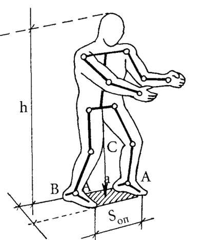 Центр тяжести рисунок. Центр тяжести биомеханика. Площадь опоры биомеханика. Центр тяжести тела человека биомеханика. Центр масс человека биомеханика.