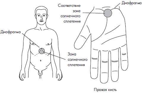 Болит спина солнечное сплетение. Что находится в Солнечном сплетении. Солнечное сплетение где находится. Где находится солнечное сплетение на теле человека. Су-Джок терапия.