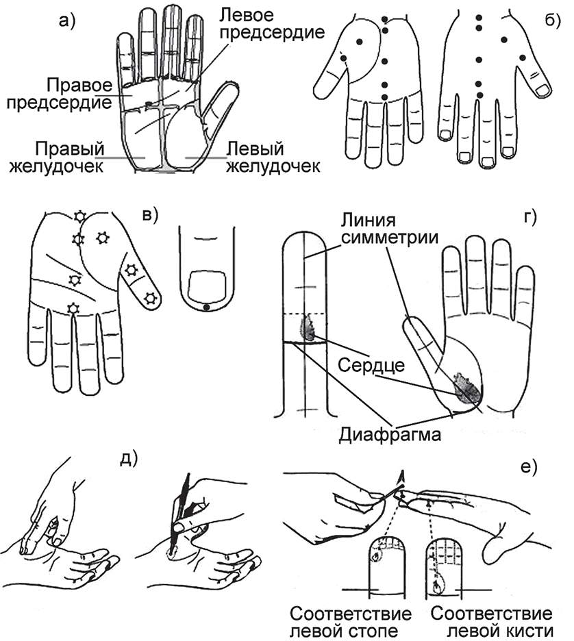 Су джок терапия семянотерапия и точки с картинками