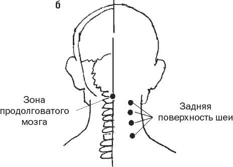 Лимфоузлы на затылке схема